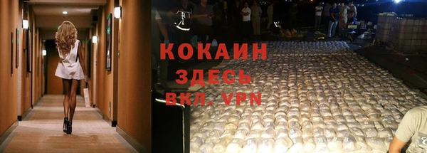 эйфоретик Белокуриха